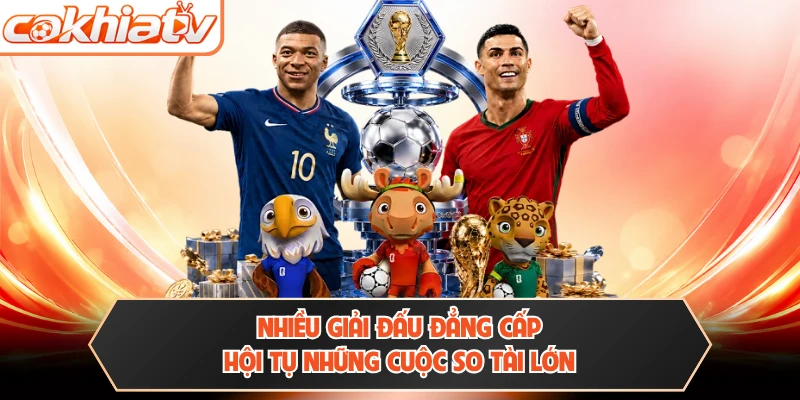 Nhiều giải đấu đẳng cấp hội tụ những cuộc so tài lớn